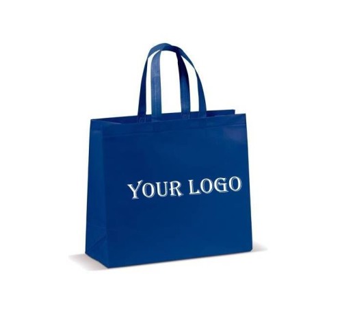 Wholesale Non Woven Eco friendly Shopping bag