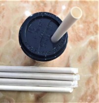 Biodegradable Paper Straws Bio Paper Straws Drinking Straws