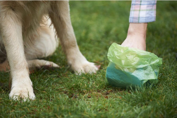 PET Poop Bags Dog Poop Bags with Handles Dog Waste Bags