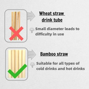 Re-Usable Eco Friendly Bamboo Straw, Large Diameter Straw,100% Natural Plant Biodegradable Straw